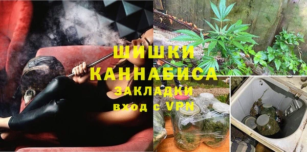 индика Гусиноозёрск