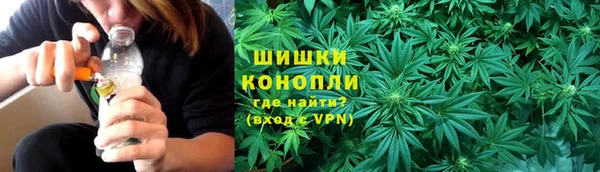 крисы Няндома