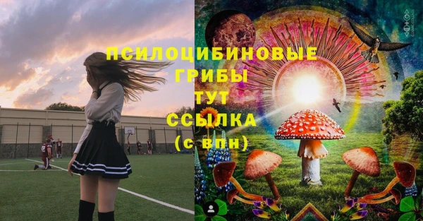 крисы Няндома